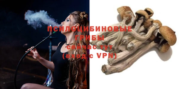 хмурый Балабаново