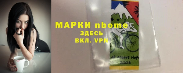 хмурый Покачи