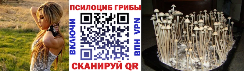 Галлюциногенные грибы мицелий  продажа наркотиков  omg ССЫЛКА  Сатка 